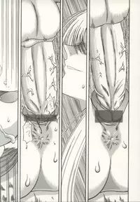 [Ginseiou] Bimai Okasu