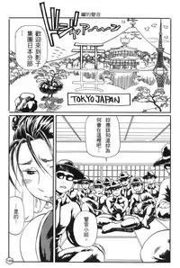 [Trochilidae] fighting queen 2 [Chiense]