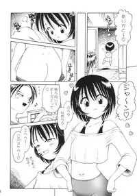 (C64) [Dokuritsu Gurentai (Bow Rei)] Cosplay Shimasho