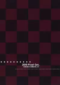 (SC48) [Pixel Cot. (Habara Meguru)] Netori no Kanade (Touhou Project)