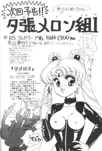 (CR14) [Shunran (Yuuki Alice)] Chibiusa Aijouhen (Bishoujo Senshi Sailor Moon R)