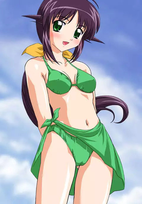 Misoya CG Collection CD-ROM Volume 13 Bitter