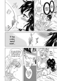 Seinaru Chichi no Elf Hime