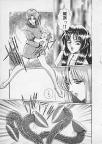 [Gun Ryuusei] Wakakusa Bishoujotai vol.4