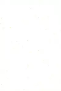 (C58) [MilkyWay (Hoshikawa Atsuki)] I.O.M.K (Digimon Adventure)