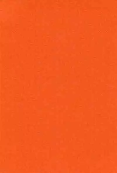 Super Osananajimi Lovers!