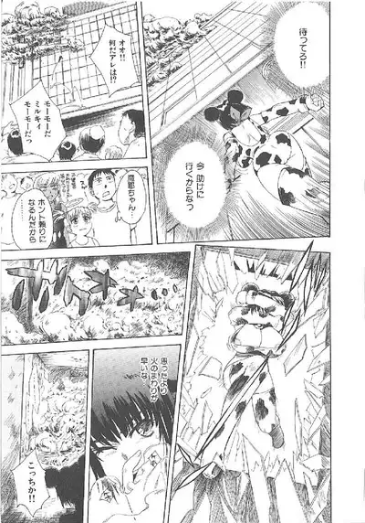 Omasena Petit Ange Complete