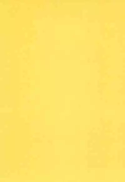 Fun House 11th SNAP SHOT