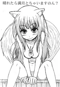 (COMIC1☆2) [Sanada Jirushi (Sanada)] Haretara Mangetsu to Chaimasunon? (Spice and Wolf)