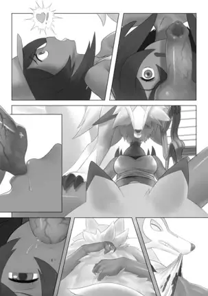 A Wildlife Study of Poni Canyon