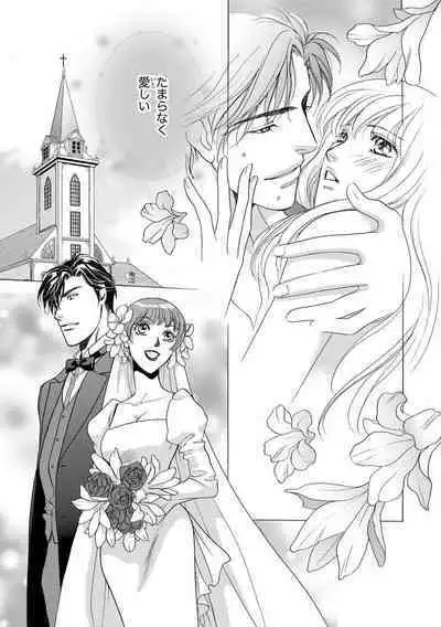 [Omi Shinano] Imouto Mekake ~Onii-sama, Mou Yurushite~ 3 [Digital]