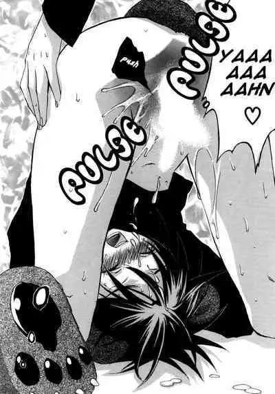 Puchi D VOL. 4 Kemonomimi