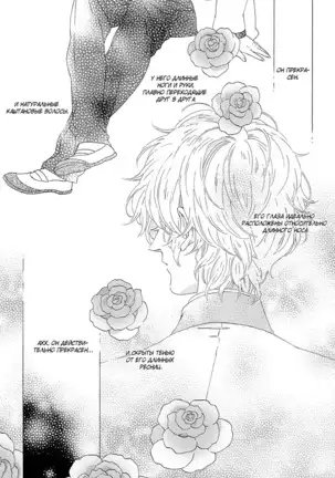 The Daydreamer Falls in Love