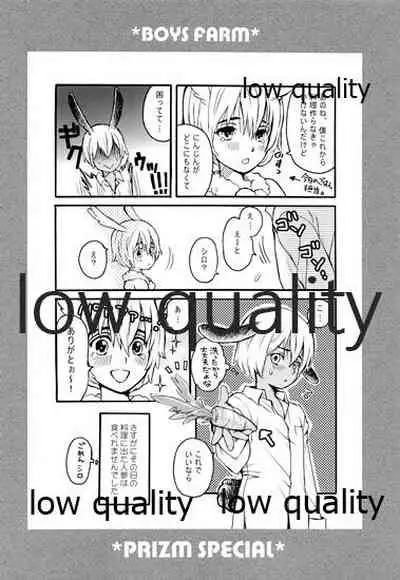 PRIZM SPECIAL REPRINT