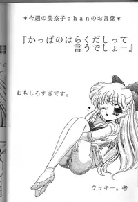 Moon Paradise 05 [Sailor Moon]