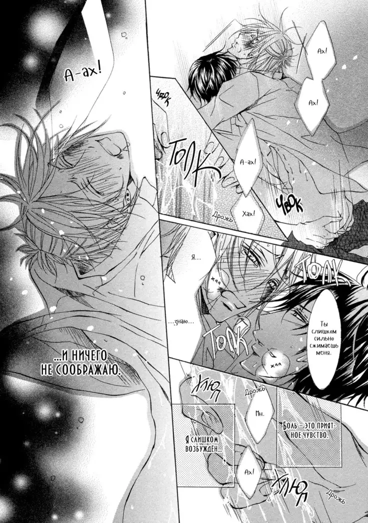 Seiai Reizoku Ecstasy