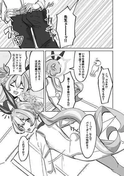 Ima wa Subete Usagi no Shoi