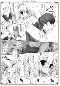 (Reitaisai 10) [D.N.A.Lab. (Miyasu Risa)] SEREVENT (Touhou Project)