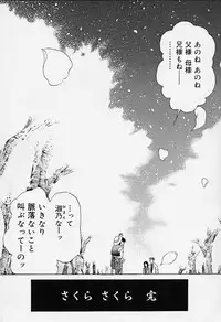 [Amayumi] sakura sakura