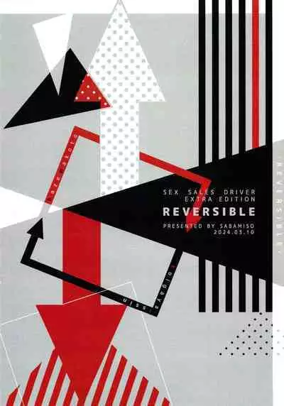 REVERSIBLE