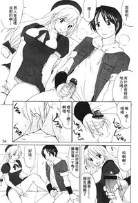 [Trochilidae] fighting queen 3 [Chiense]