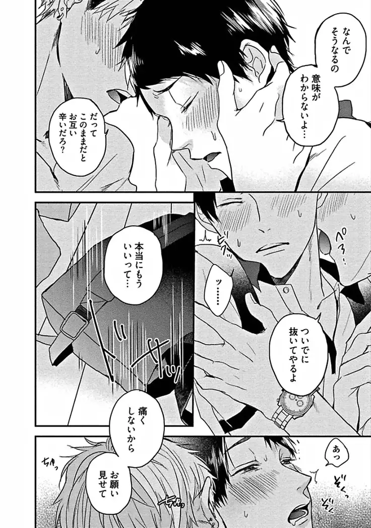 Hajimete wa Mechakucha Hageshii