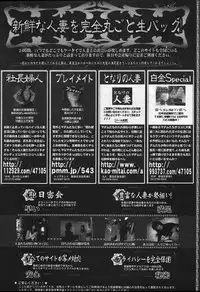 Manga Bangaichi 2004-07