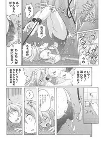 Micchaku Seiheki Pitapita Kyouei Mizugi Selection