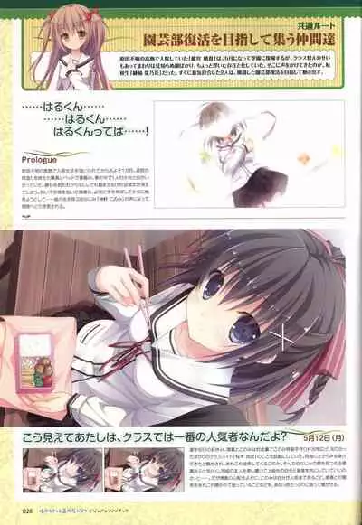 Hare Nochi Kitto Nanohana Biyori Visual Fanbook