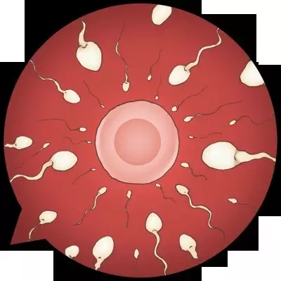 Osananajimi wa Ani no Tsuma