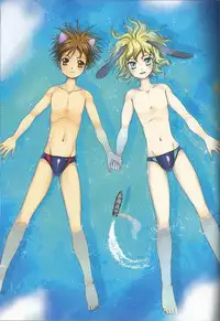 (C83) [Torajima-shi Kouhouka (Torajimaneko)] Foot Prints