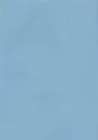 (C65) [Tax inn (Kisu Yoshimitsu)] FALLEN (Bleach)