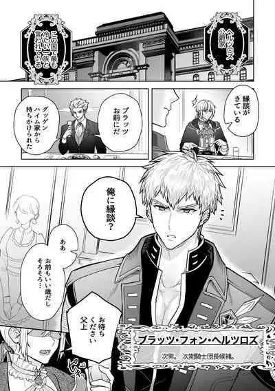 Konyaku Soshi!... Kara Hajimaru Ani to Otouto no Bousou