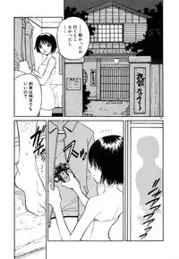 [Armadillo] Neko no Yurikago