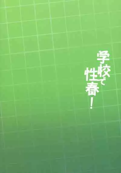 Gakkou de Seishun! 17