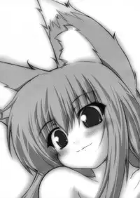 (C76) [Kinakomochi (Uryu Sango)] Ookami no Kansatsuki (Spice and Wolf)