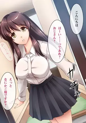 Hana Tsumi ~Denki Kojo Netori Tosatsu~