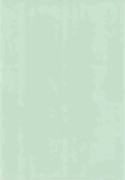 [Wild Coconuts (Sumi Ryuuichi)] Eiko Ganbaru! (Final Fantasy IX)