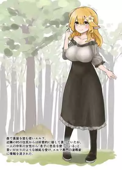 [Beauty Salon B & S (BS3)] Elf o Okasu Hon 2 [Digital]