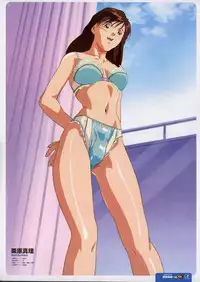 Super Real Mahjong Visual Fan Book Perfect Collection