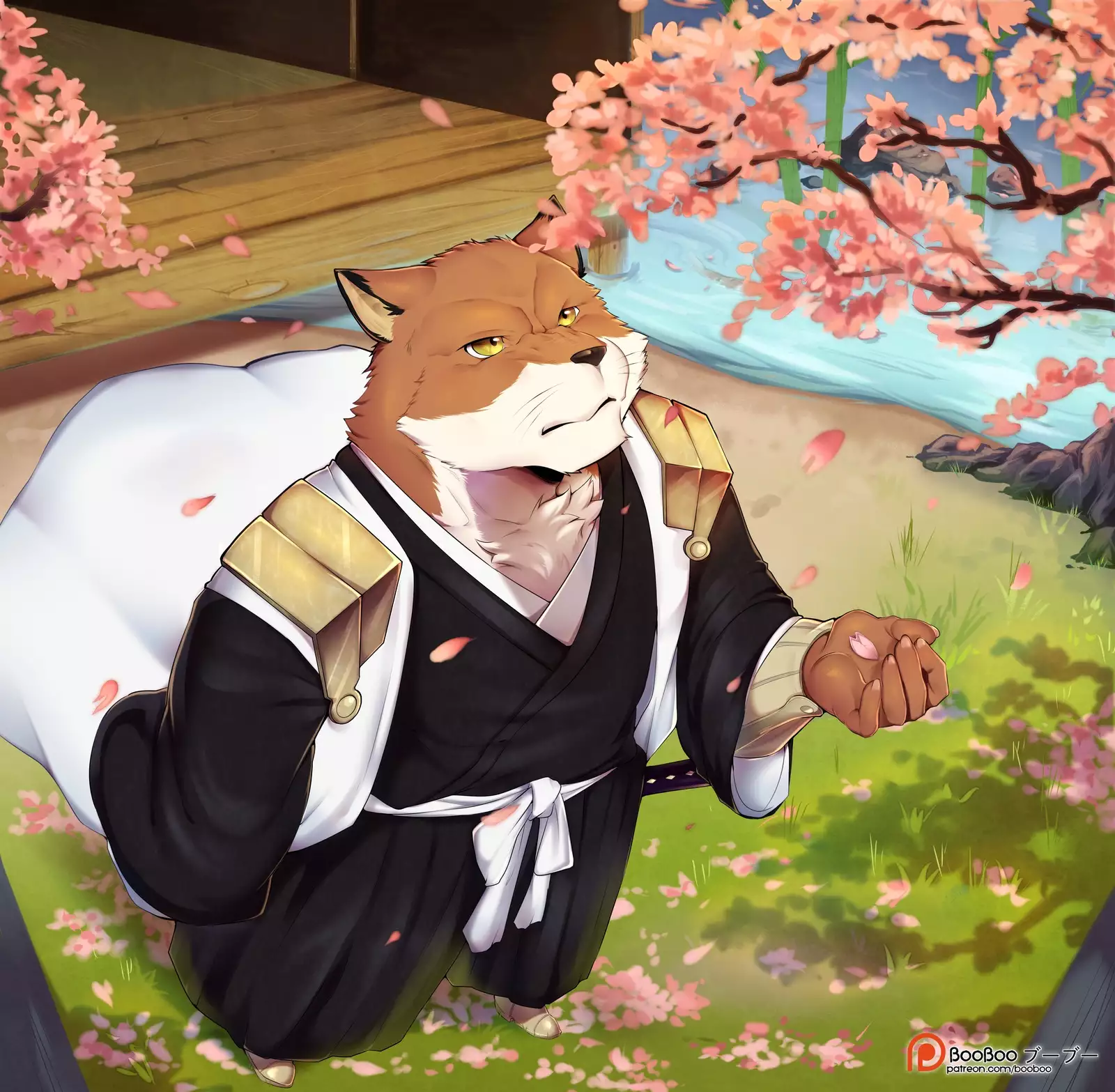 July 2017 - December 2017 Rewards Packs