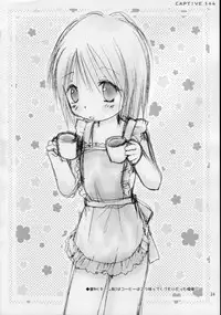 (C68) [Penguin San (Shinosaki Ariko)] CAPTIVE 3+4