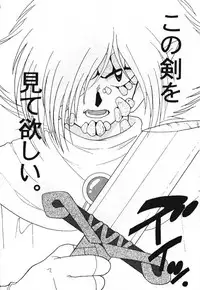 [Ginmomodou (Mita Satomi)] Slayers Adult 8 (Slayers)