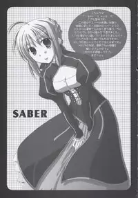 (SC24) [TAROTS (Sawano Akira)] THE MOON (Fate/stay night)