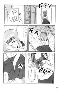 [D-Heiba] Cat's Mate RX