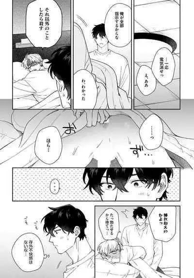 Love Your Love-Enemy