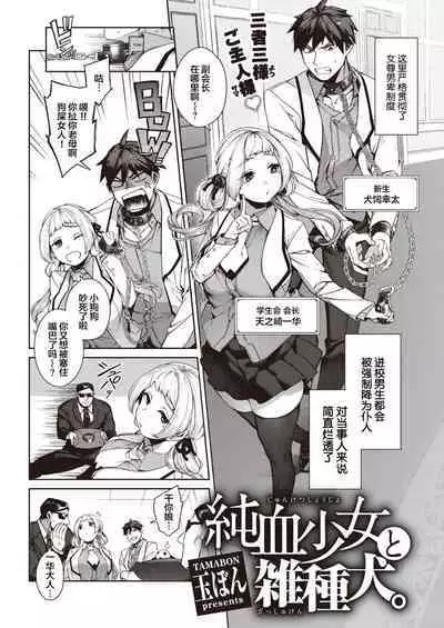 [Tamabon] DA-DA-MO-RE [Chinese]