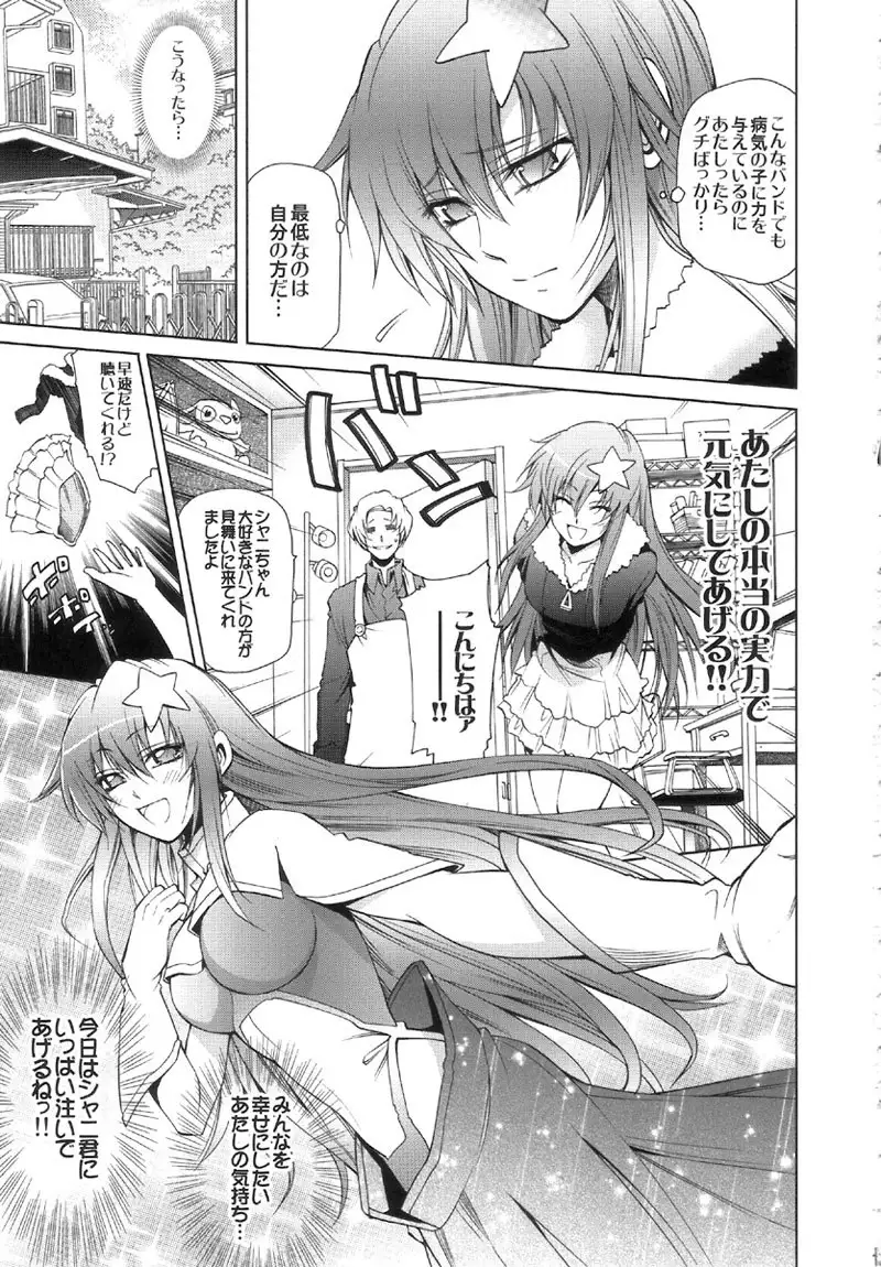 Gundam Seed Destiny- DESTINY METAL CHRIST 1