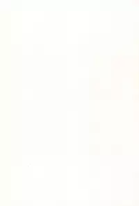 (C93) [EX35 (Kamaboko RED)] Denki no Chikaratte Sugee! (Bakusou Kyoudai Let's & Go!!)