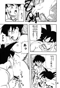(C51) [Chirigami Goya, Fusuma go Ten (Shoji Hariko)] ZZZ (DRAGON BALL)